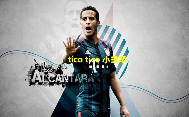 tico tico 小提琴